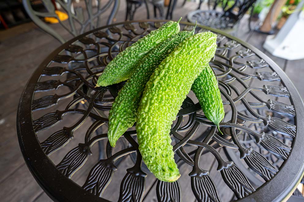 自家製野菜